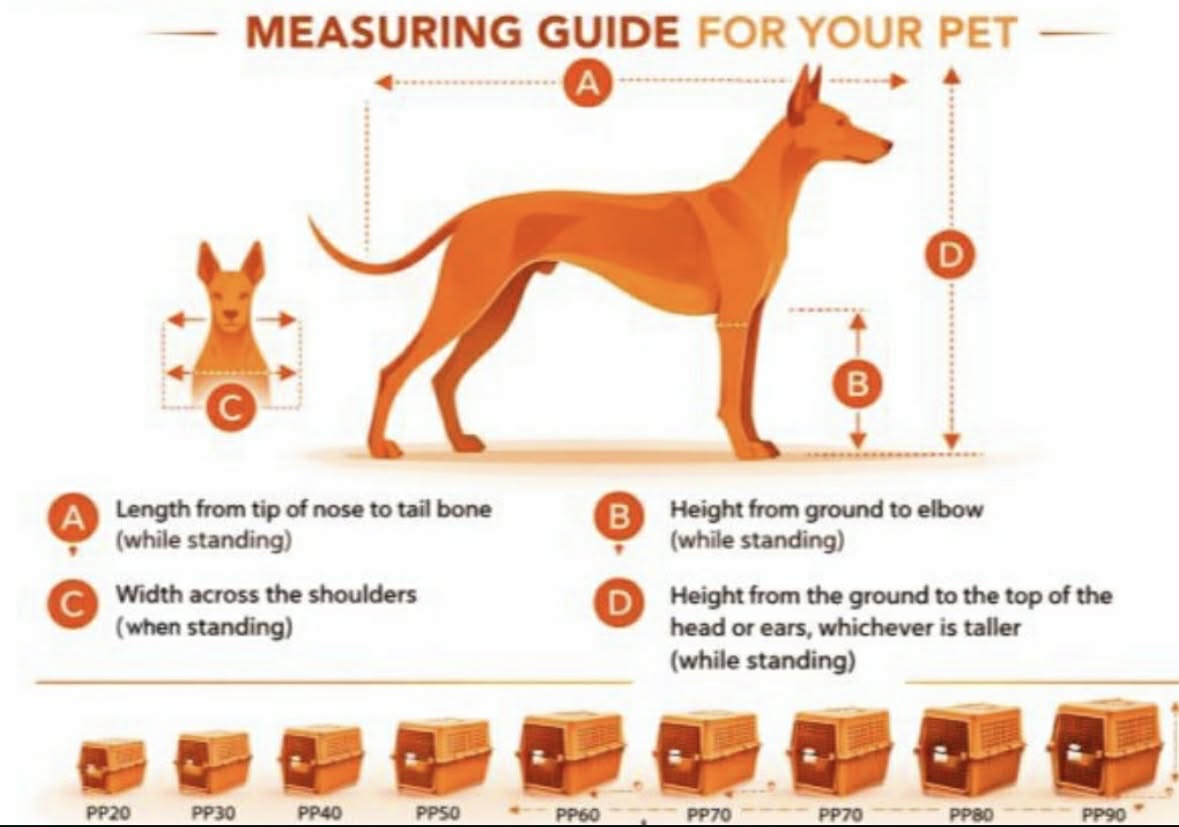 IATA pet measuring guide showing A=length nose to tail, B=elbow to ground, C=shoulder width, D=standing height